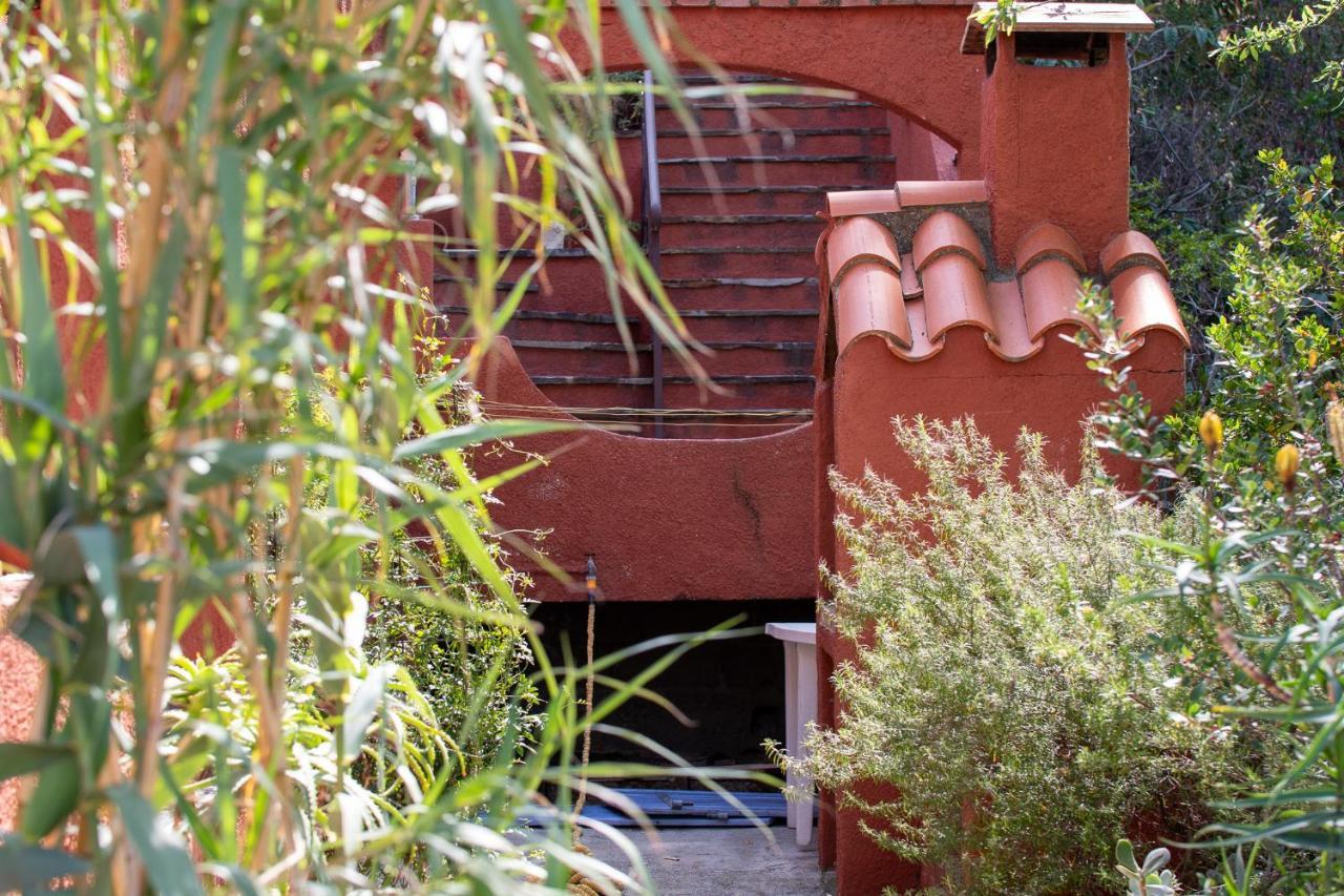 Villa Bougainvilliers バニュルス・シュル・メール エクステリア 写真