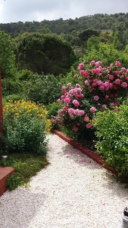 Villa Bougainvilliers バニュルス・シュル・メール 部屋 写真